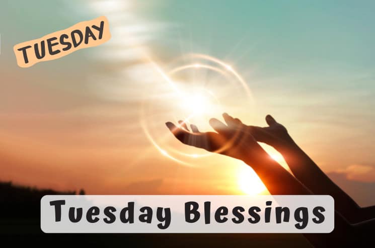 Tuesday Blessings: Finding Inspiration in the Midweek post thumbnail image